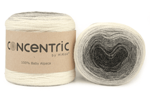 Charger l'image dans la galerie, Concentric