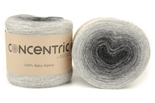 Charger l'image dans la galerie, Concentric